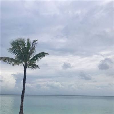 人在江湖飘手游下载