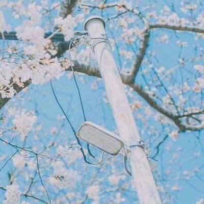 完美世界战神遗迹手游下载