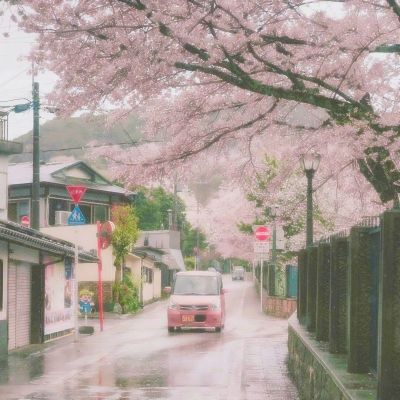 梦之神域手游(暂未上线)v1.0 安卓版